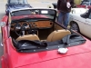 antelope14_08