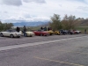 antelope14_25