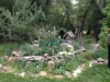 antelope14_39