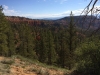 bryce14_20