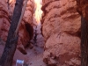 bryce14_24