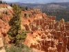 bryce14_32