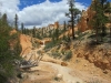 bryce14_33