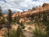 bryce14_37