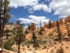 bryce14_38