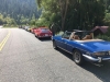 alpine17 - 11