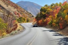 Fall Color (10/20)