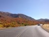IMG_5557