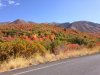 IMG_5560