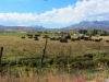 IMG_0800m