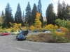 IMG_0888