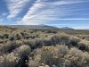 IMG_2953