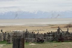 Antelope Island (4/22)