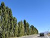 IMG_8491b