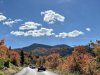 IMG_8553b