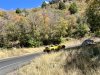 IMG_8553d