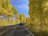 IMG_8675c