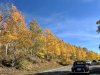 IMG_8696d