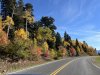 IMG_8736b