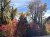 IMG_8739b