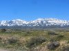 IMG_1028