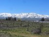 IMG_1082