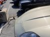 IMG_7224-Large