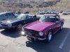IMG_7225-Large