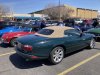 IMG_7310-Large