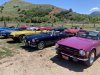 100monte
