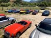 102monte