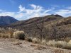 IMG_7580m