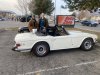 15-IMG_2442