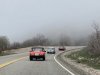 59-IMG_4951