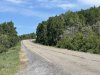 73-IMG_1296