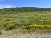 75-IMG_1317