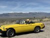 41ophir