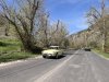 46ophir