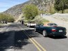 49ophir