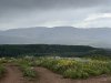 IMG_3444