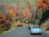 098alpine26